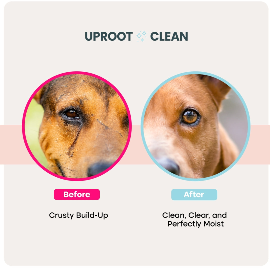 Uproot Head-to-Tail Wipe Set - Image 5
