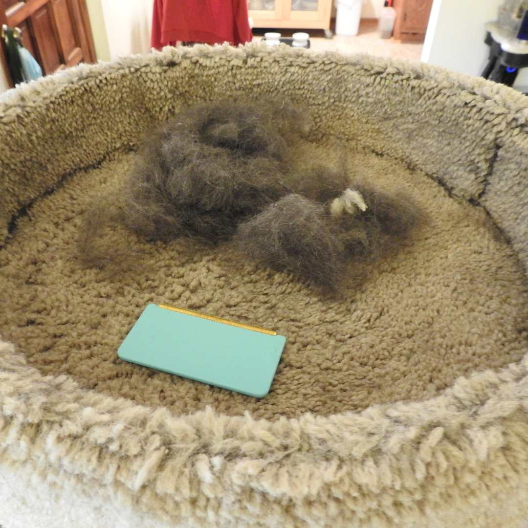 The Ultimate Uproot Clean Bundle - All Cleaners & Deshedder - Image 7
